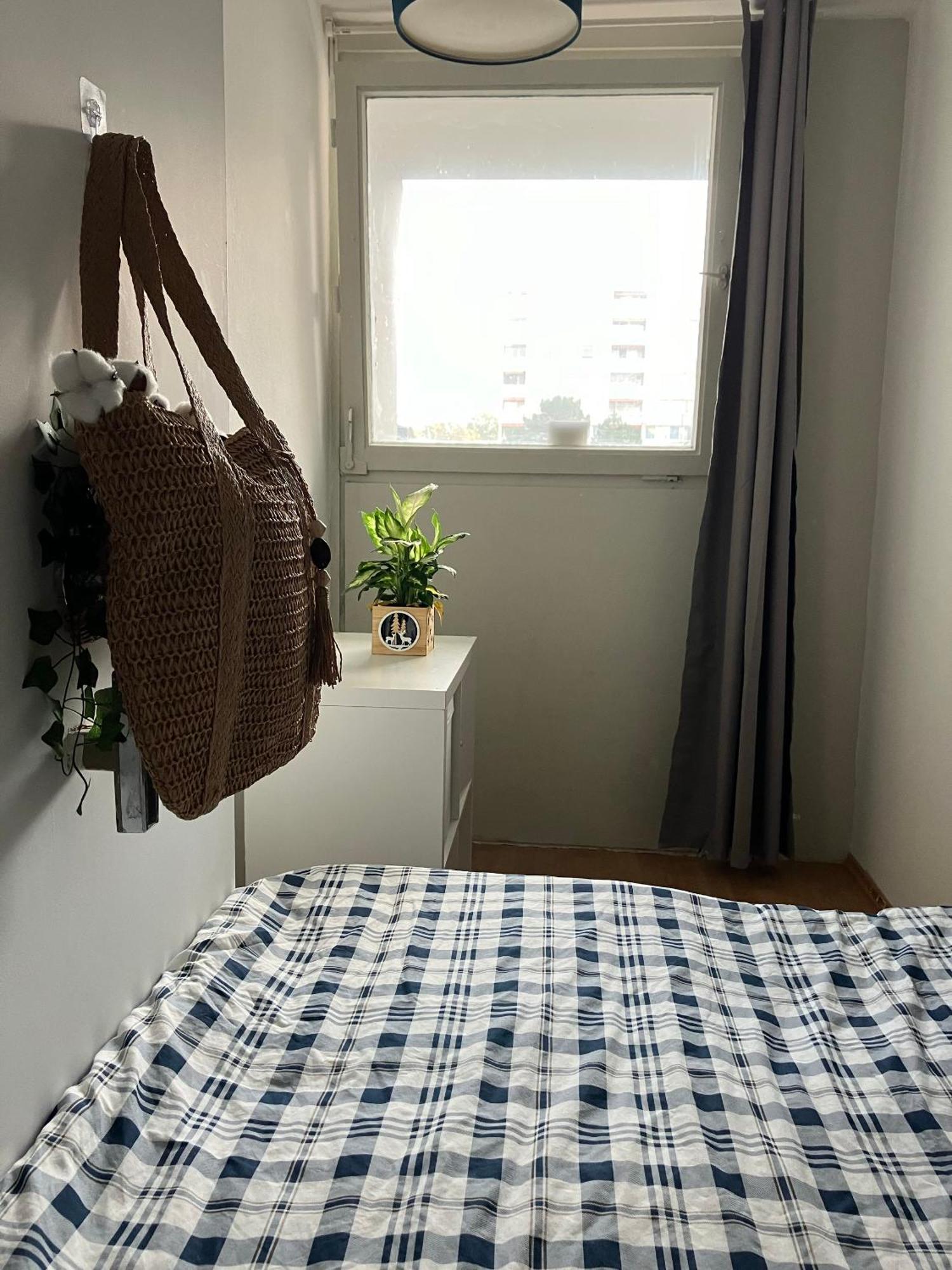 Homestay Easy Travel To Frankfurt *